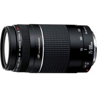 Produktbild för Canon EF telezoomobjektiv - 75 mm - 300 mm