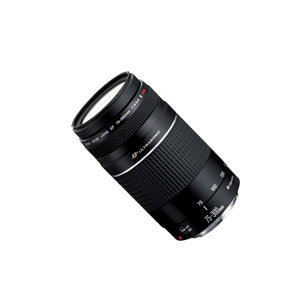 Produktbild för Canon EF telezoomobjektiv - 75 mm - 300 mm