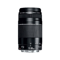 Produktbild för Canon EF telezoomobjektiv - 75 mm - 300 mm