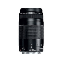 Produktbild för Canon EF telezoomobjektiv - 75 mm - 300 mm