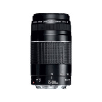 Produktbild för Canon EF telezoomobjektiv - 75 mm - 300 mm