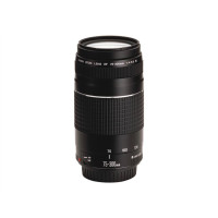 Produktbild för Canon EF telezoomobjektiv - 75 mm - 300 mm