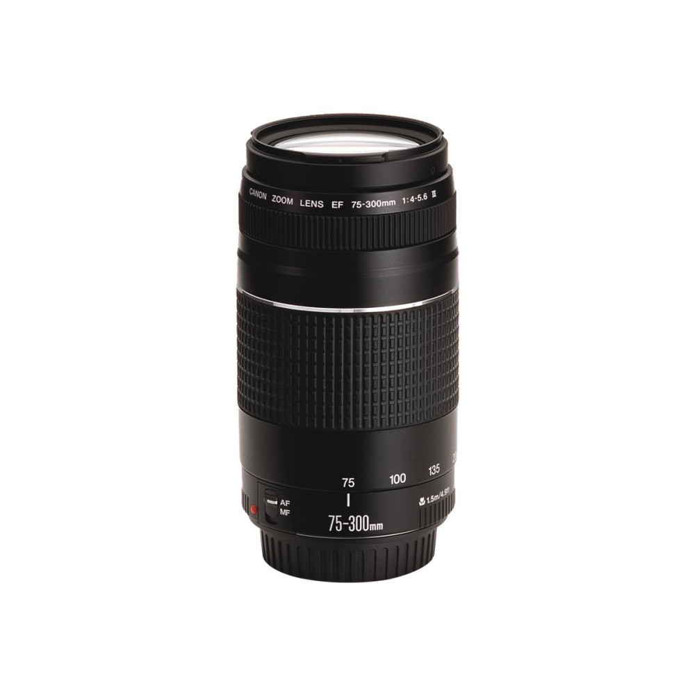 Produktbild för Canon EF telezoomobjektiv - 75 mm - 300 mm