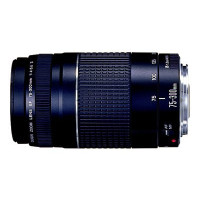 Produktbild för Canon EF telezoomobjektiv - 75 mm - 300 mm
