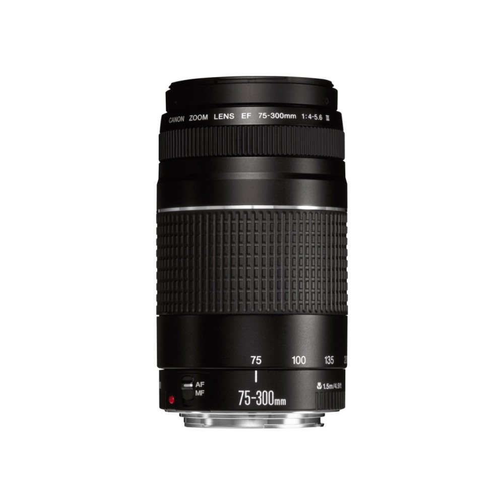 Produktbild för Canon EF telezoomobjektiv - 75 mm - 300 mm