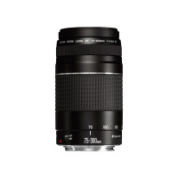 Produktbild för Canon EF telezoomobjektiv - 75 mm - 300 mm