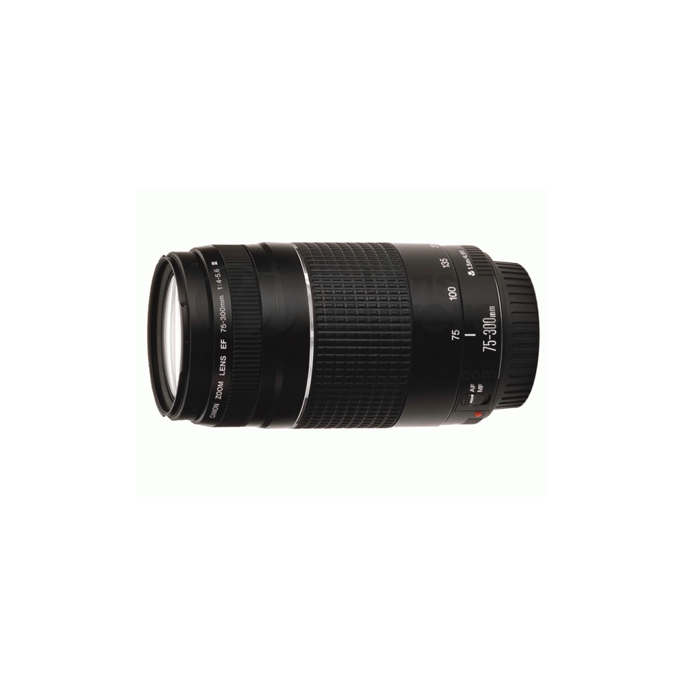 Produktbild för Canon EF telezoomobjektiv - 75 mm - 300 mm
