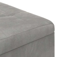 Produktbild för Förvaringspall med kudde Ljusgrå 80 x 80 x 45 cm Sammet