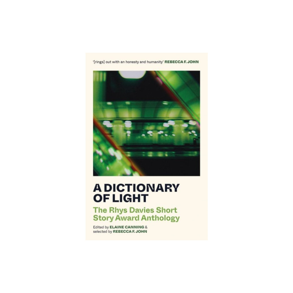 Produktbild för A Dictionary of Light (häftad, eng)