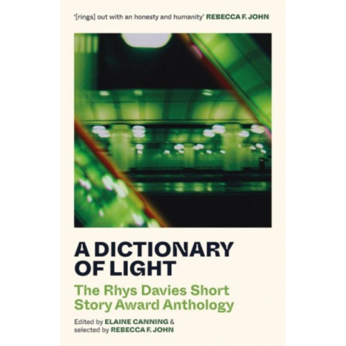 Parthian Books A Dictionary of Light (häftad, eng)