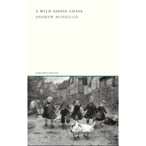 Carcanet Press Ltd A Wild Goose Chase (häftad, eng)