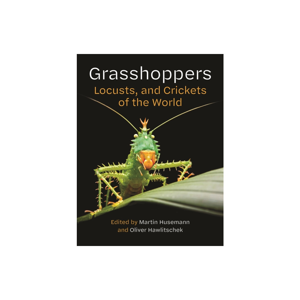 Produktbild för Grasshoppers, Locusts, and Crickets of the World (inbunden, eng)