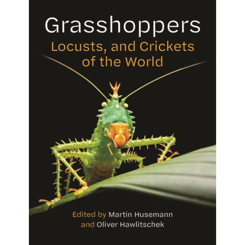 Princeton University Press Grasshoppers, Locusts, and Crickets of the World (inbunden, eng)
