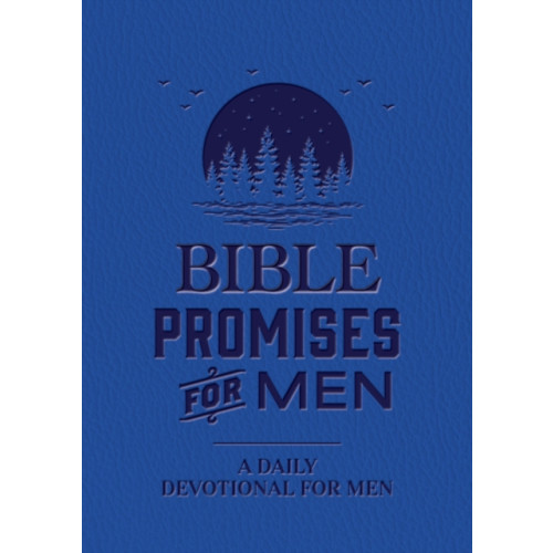 Quarto Publishing Group USA Inc Bible Promises for Men (inbunden, eng)