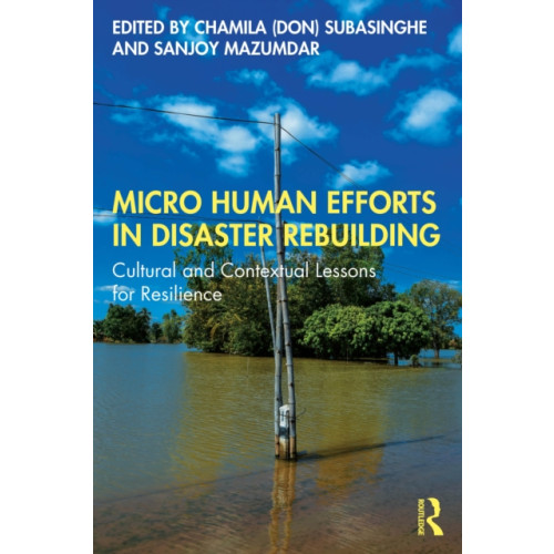 Taylor & francis ltd Micro Human Efforts in Disaster Rebuilding (häftad, eng)