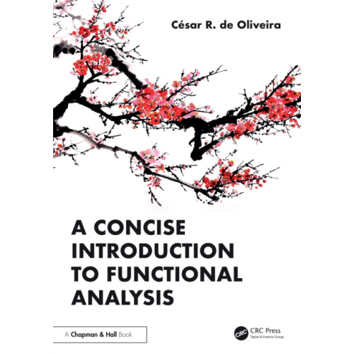 Taylor & francis ltd A Concise Introduction to Functional Analysis (häftad, eng)