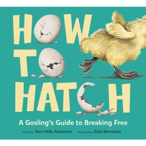Random House USA Inc How to Hatch (inbunden, eng)