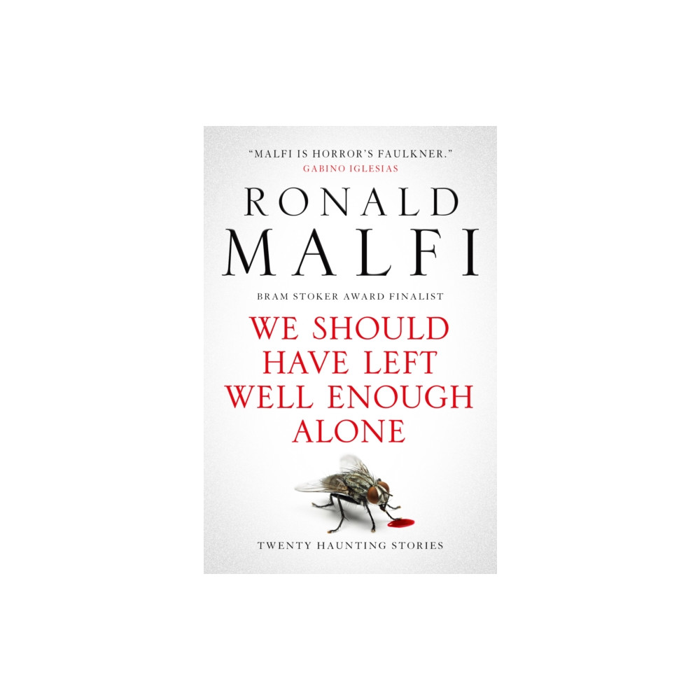 Produktbild för We Should Have Left Well Enough Alone (häftad, eng)