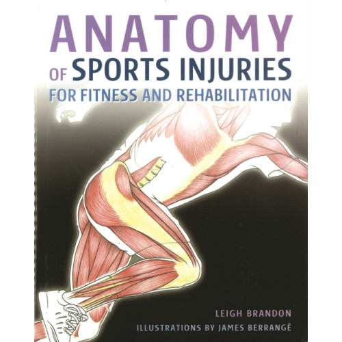 IMM Lifestyle Books Anatomy of Sports Injuries (häftad, eng)