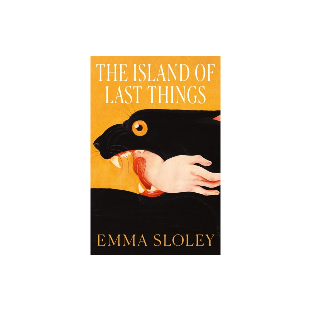 Produktbild för The Island of Last Things (häftad, eng)