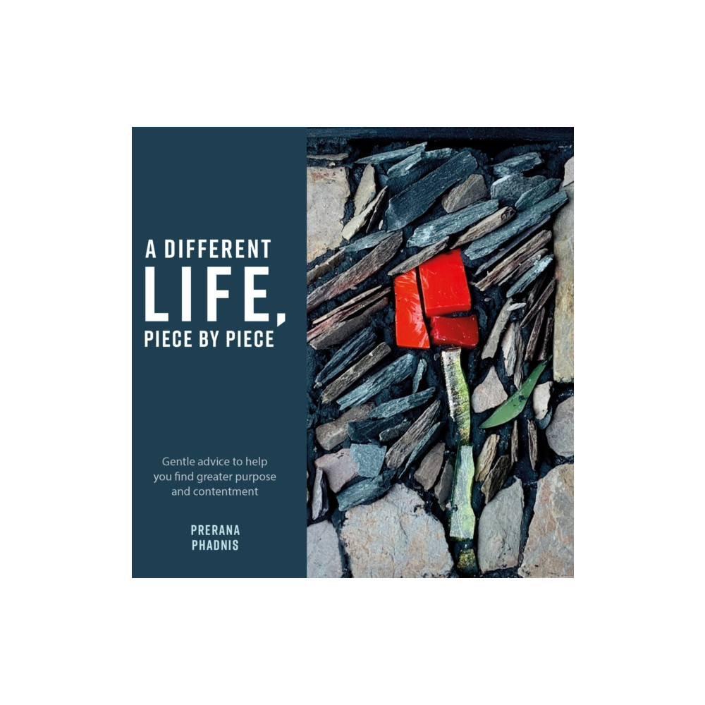 Produktbild för A Different Life, Piece by Piece (häftad, eng)