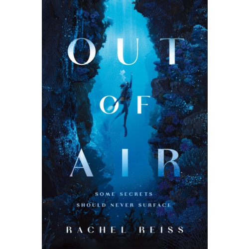 Castle Point Books Out of Air (häftad, eng)