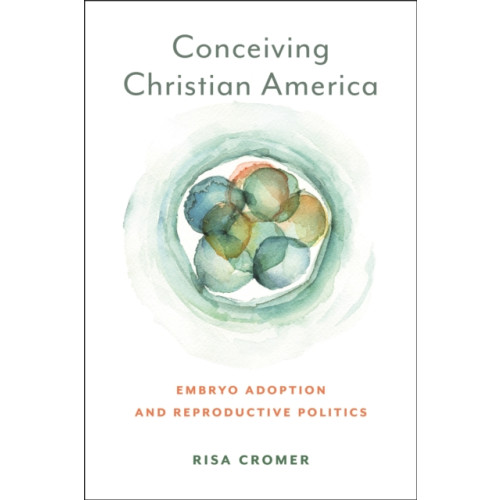 New York University Press Conceiving Christian America (häftad, eng)