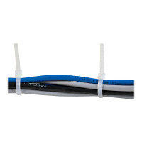 Produktbild för StarTech.com 25cm kabelkopplingar - 4mm bred, 68mm buntdiameter, 22kg draghållfasthet, självlåsande spärrband för nylon med böjd spets, 94 V-2/UL listad, 100-pack - vitt - kabelsamlare - TAA-kompatibel
