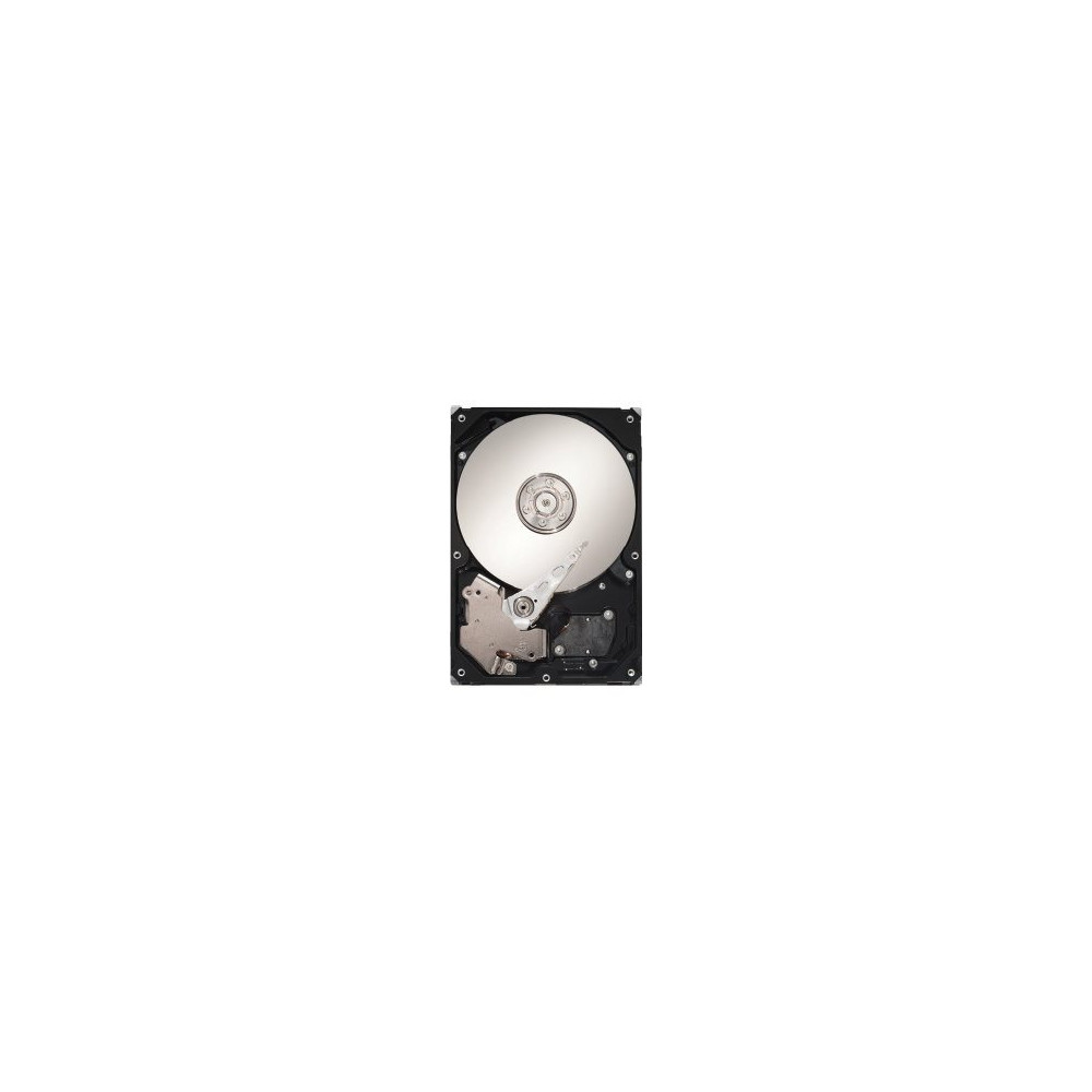 Produktbild för Seagate DB35.3 Series ST3250820SCE - hårddisk - 250 GB - SATA 3Gb/s