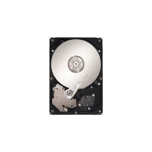 Seagate Seagate DB35.3 Series ST3250820SCE - hårddisk - 250 GB - SATA 3Gb/s
