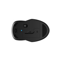 Produktbild för HP 250 - mus - 2.4 GHz, Bluetooth 5.0 - svart