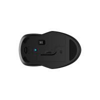 Produktbild för HP 250 - mus - 2.4 GHz, Bluetooth 5.0 - svart