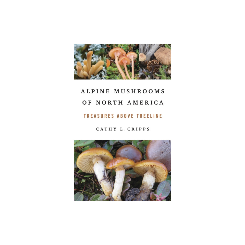 Produktbild för Alpine Mushrooms of North America (häftad, eng)