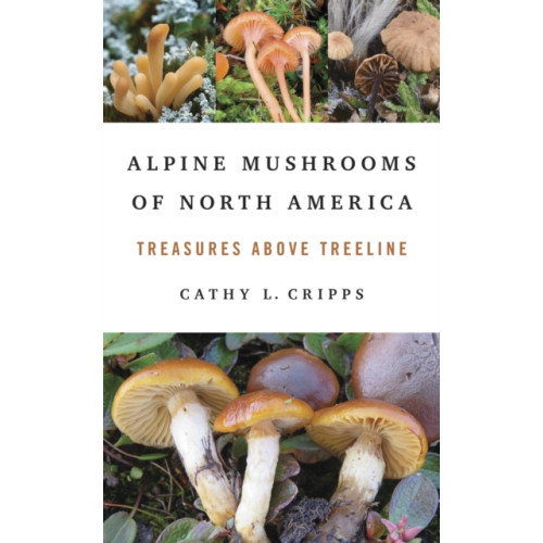 University of illinois press Alpine Mushrooms of North America (häftad, eng)