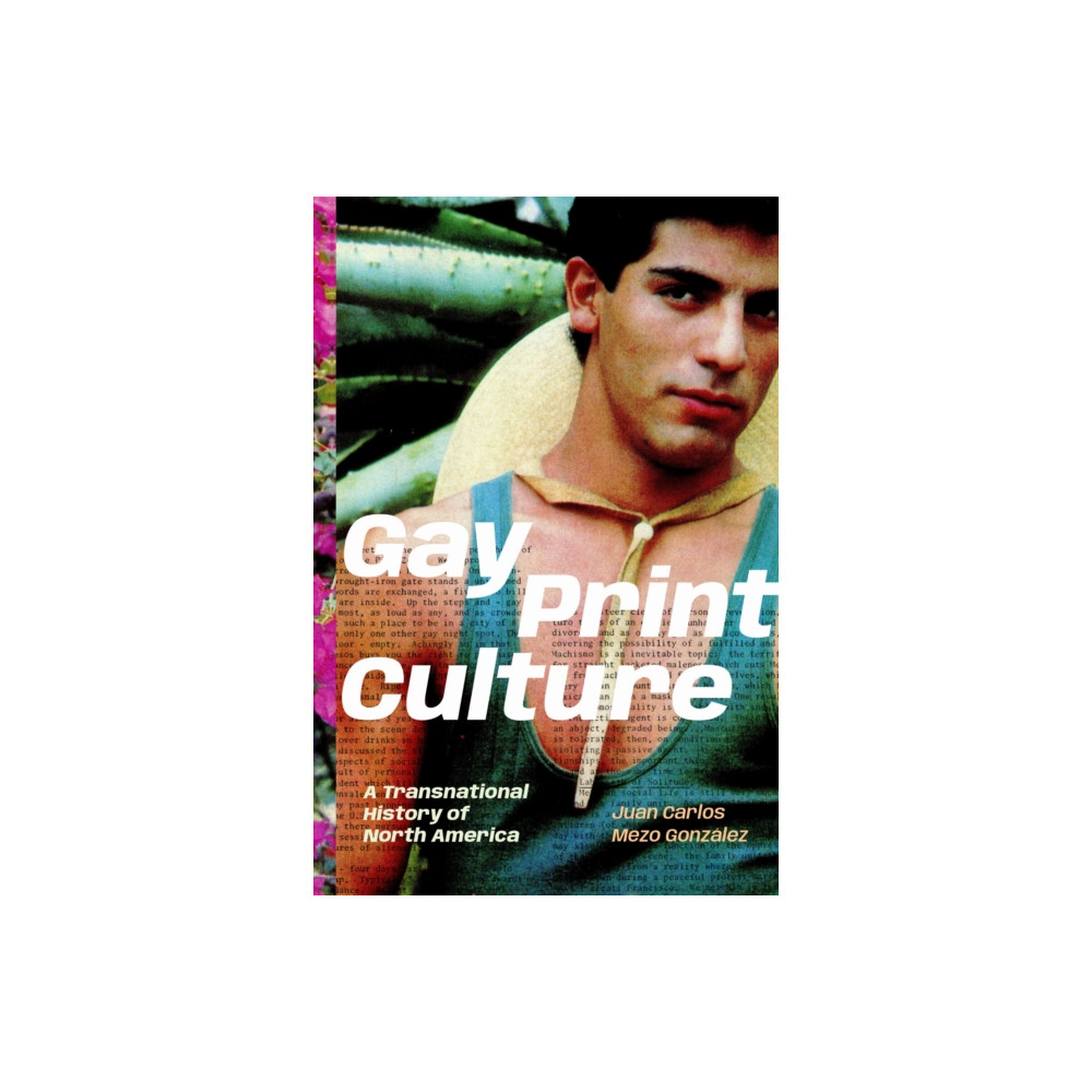Produktbild för Gay Print Culture (häftad, eng)