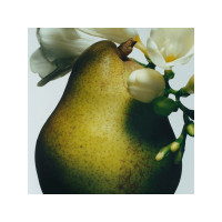 Produktbild för Jo Malone English Pear & Freesia Cologne, Kvinna, 100 ml, Pä...
