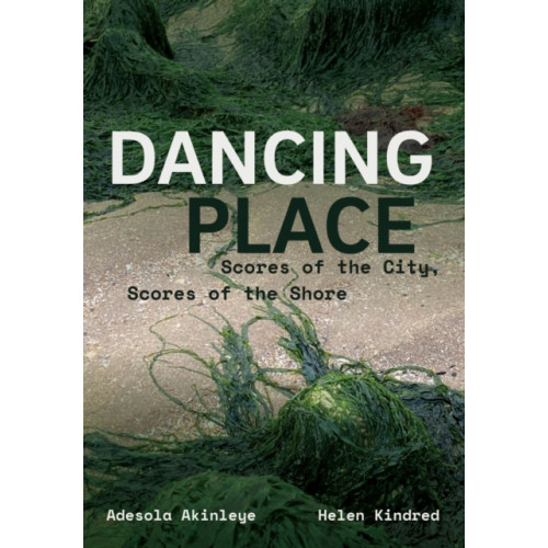 Intellect Dancing Place (häftad, eng)