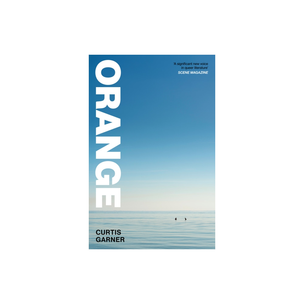 Produktbild för Orange (häftad, eng)