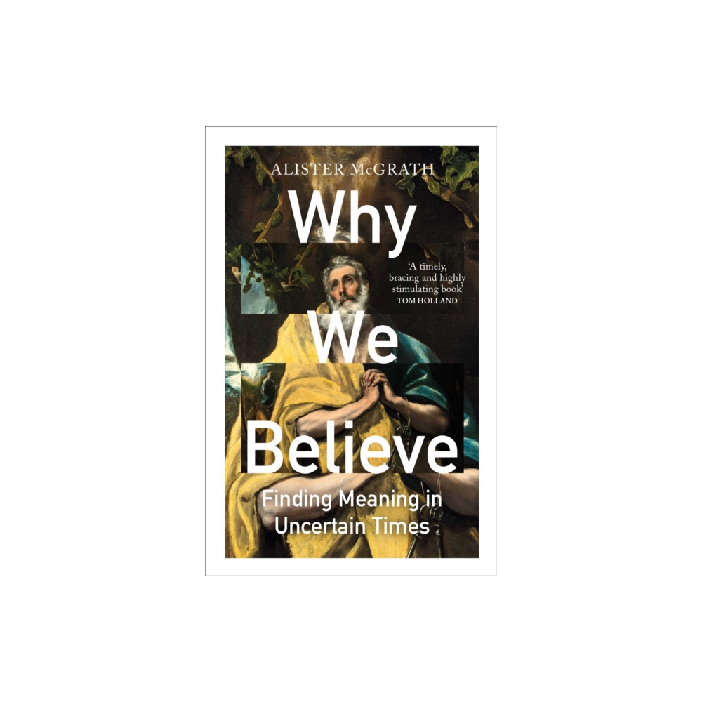 Produktbild för Why We Believe (häftad, eng)