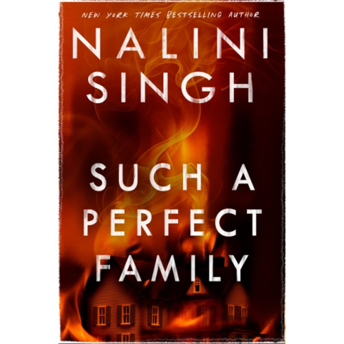 Orion Publishing Co Such a Perfect Family (häftad, eng)