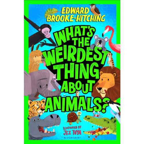 Bloomsbury Publishing PLC What's the Weirdest Thing About Animals? (häftad, eng)