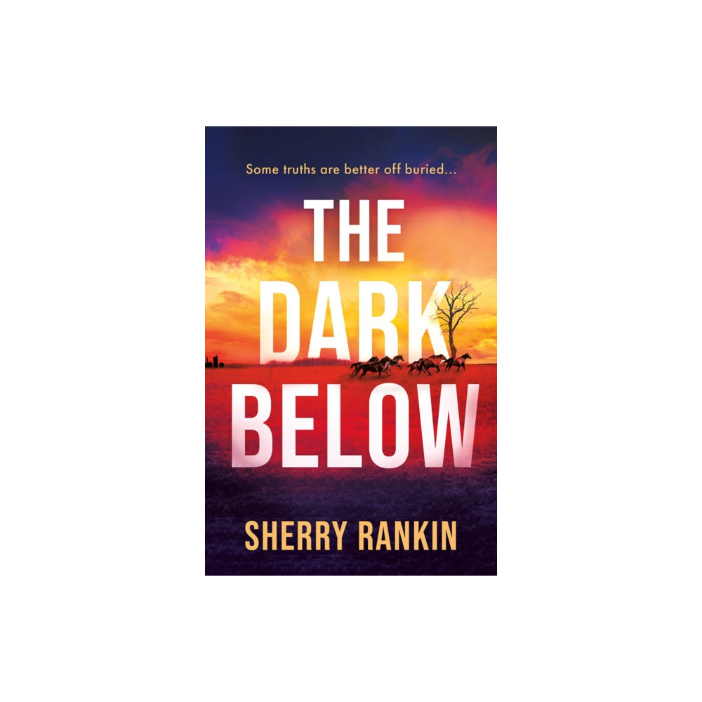 Produktbild för The Dark Below (häftad, eng)
