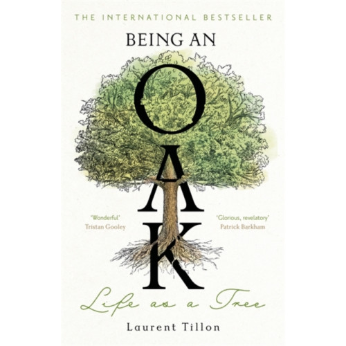 Bonnier Books Ltd Being an Oak (häftad, eng)