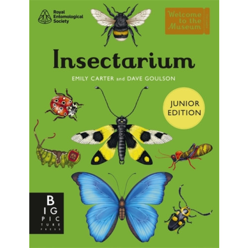 Bonnier Books Ltd Insectarium (Junior Edition) (inbunden, eng)