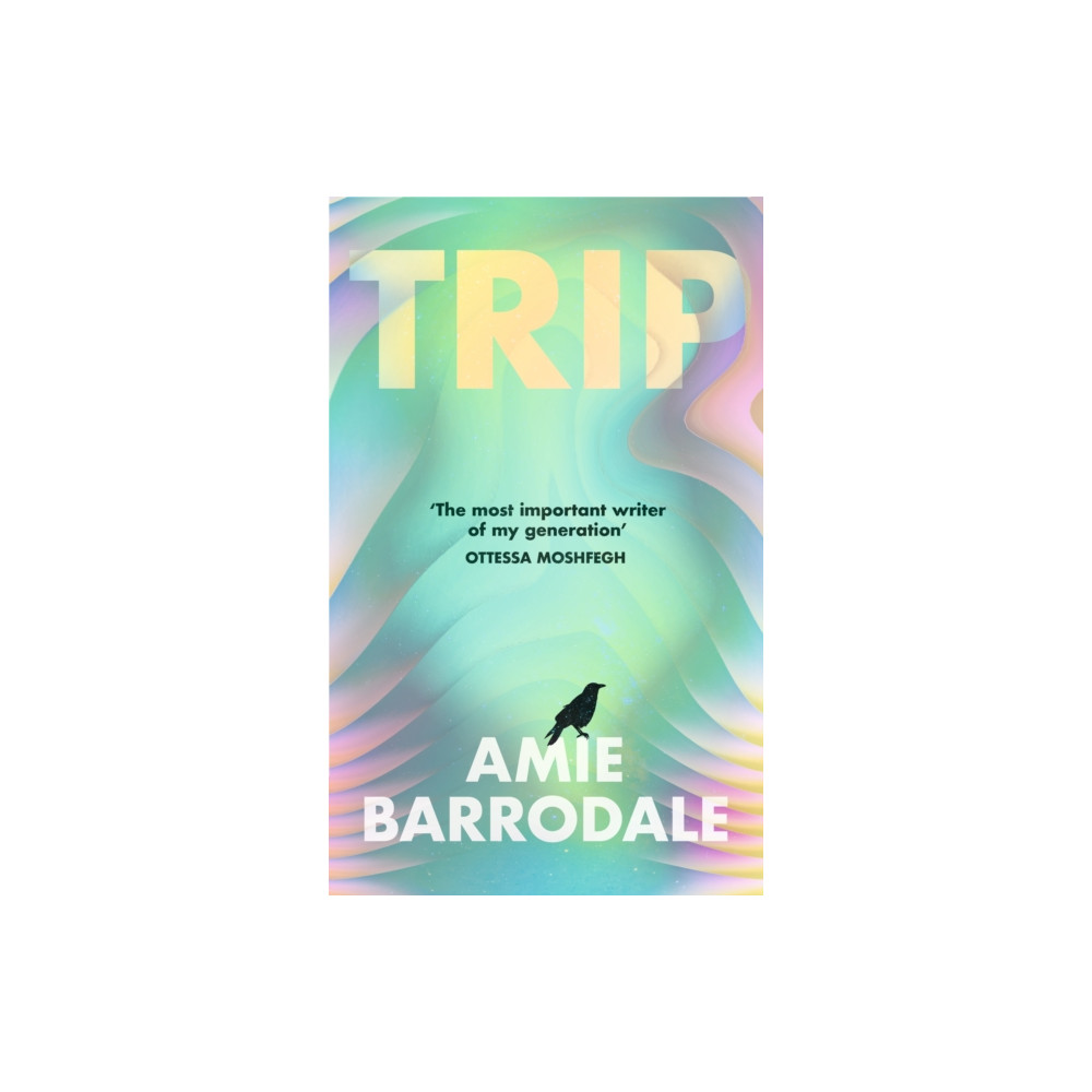 Produktbild för Trip (häftad, eng)