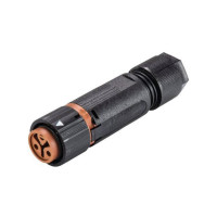 Produktbild för Wieland Electric 46.031.4551.4 rundstiftskoppling, rak samma...