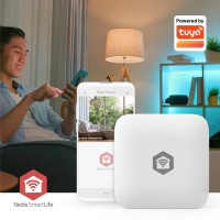 Produktbild för Nedis SmartLife - vattenläckagesensor - ZigBee 3.0 - vit