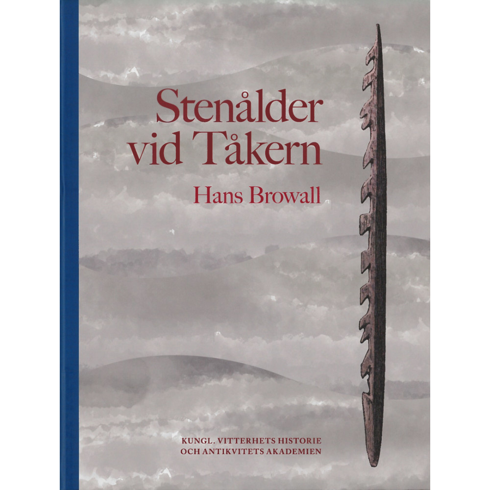 Produktbild för Stenålder vid Tåkern (inbunden)