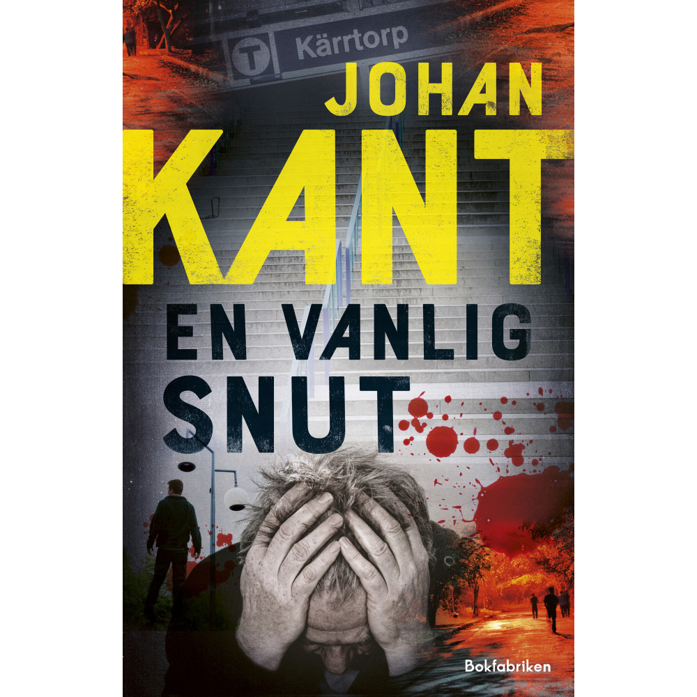 Produktbild för En vanlig snut (inbunden)
