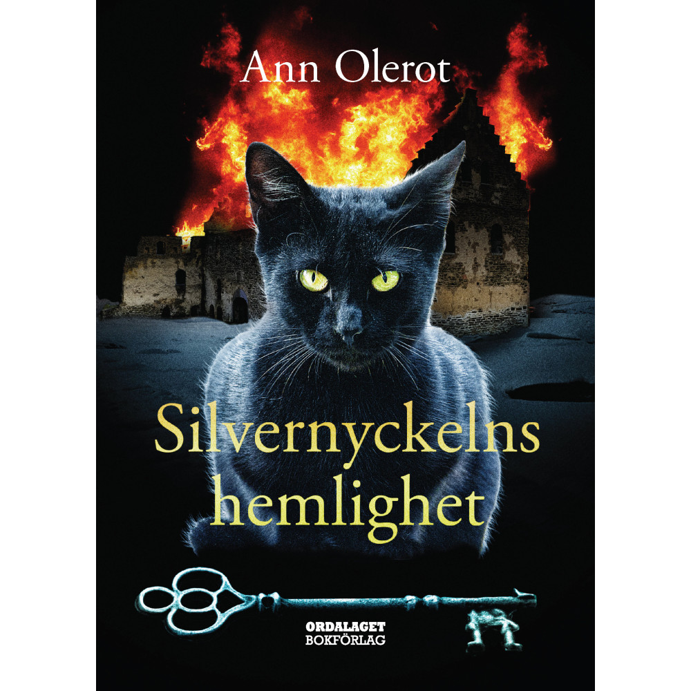 Produktbild för Silvernyckelns hemlighet (bok, kartonnage)